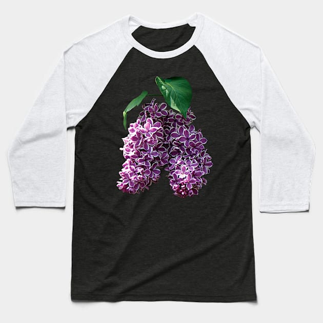 Lilacs - Two-Toned Lilacs Baseball T-Shirt by SusanSavad